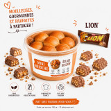 Pocket Ball Mini Brioche Lion JAC